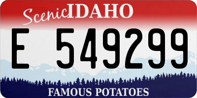 ID license plate E549299