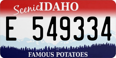 ID license plate E549334