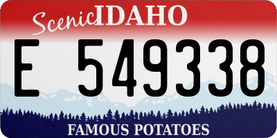 ID license plate E549338