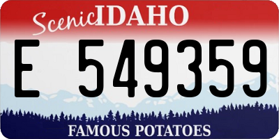 ID license plate E549359
