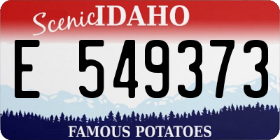 ID license plate E549373