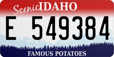 ID license plate E549384