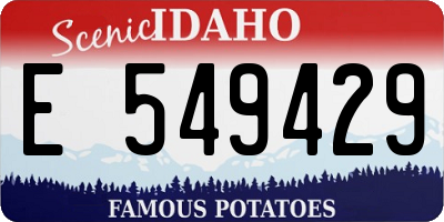 ID license plate E549429