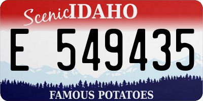ID license plate E549435