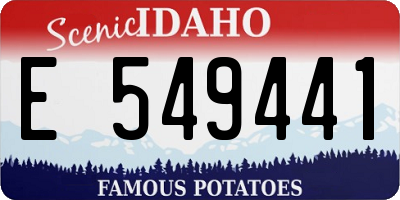 ID license plate E549441