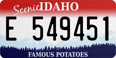 ID license plate E549451