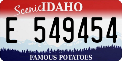 ID license plate E549454