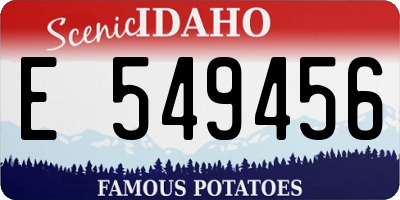ID license plate E549456