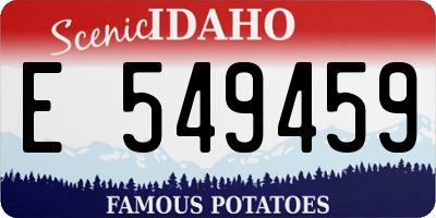 ID license plate E549459
