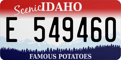 ID license plate E549460