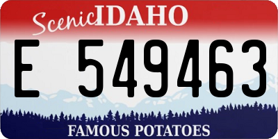ID license plate E549463
