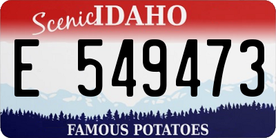 ID license plate E549473