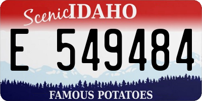 ID license plate E549484