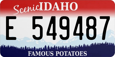 ID license plate E549487