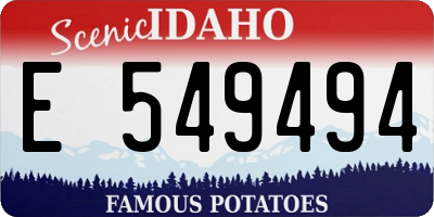 ID license plate E549494