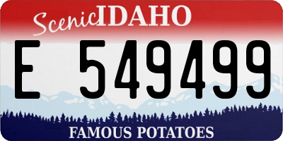 ID license plate E549499