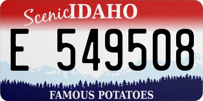 ID license plate E549508