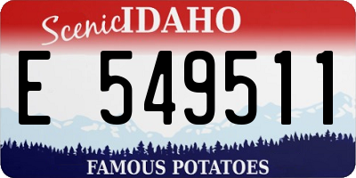 ID license plate E549511