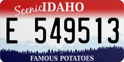 ID license plate E549513