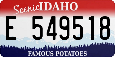 ID license plate E549518