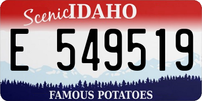 ID license plate E549519