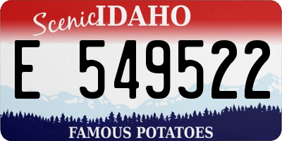 ID license plate E549522