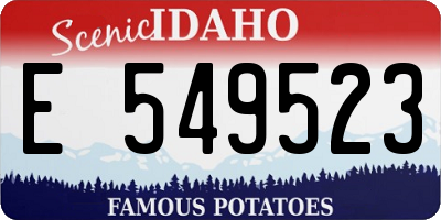ID license plate E549523