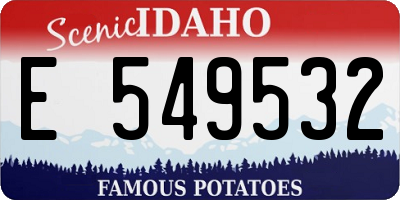 ID license plate E549532