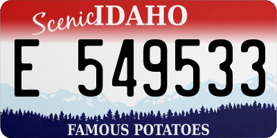 ID license plate E549533