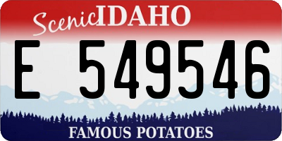 ID license plate E549546