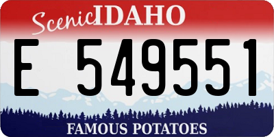 ID license plate E549551