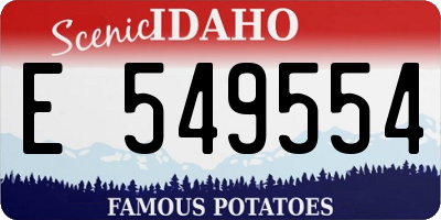 ID license plate E549554