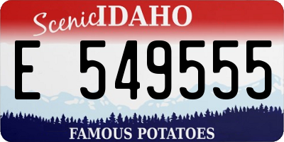ID license plate E549555