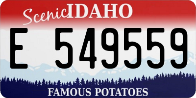 ID license plate E549559