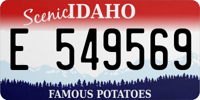 ID license plate E549569