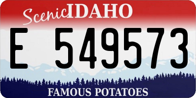 ID license plate E549573