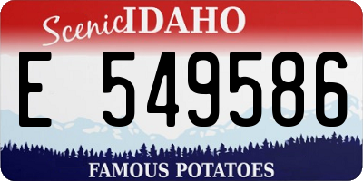 ID license plate E549586