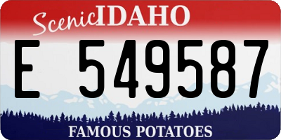 ID license plate E549587