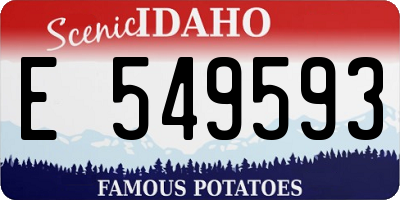 ID license plate E549593