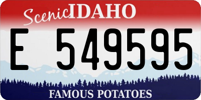 ID license plate E549595