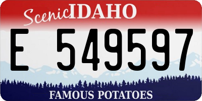 ID license plate E549597