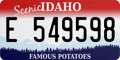 ID license plate E549598