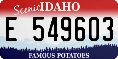 ID license plate E549603
