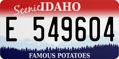 ID license plate E549604