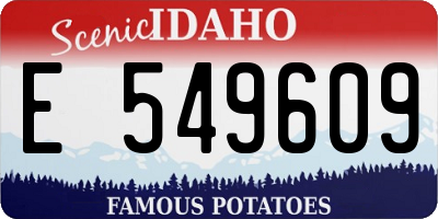 ID license plate E549609