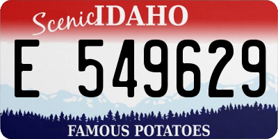 ID license plate E549629