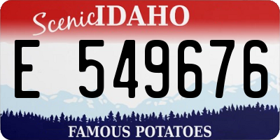 ID license plate E549676