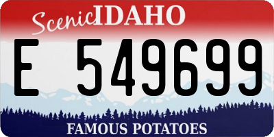 ID license plate E549699