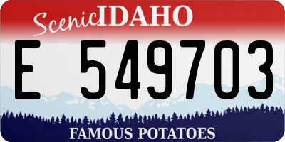 ID license plate E549703