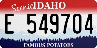 ID license plate E549704